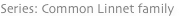 shapeimage_10_link_0