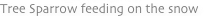 shapeimage_10_link_2