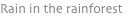 shapeimage_11_link_3