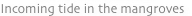 shapeimage_11_link_4