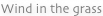 shapeimage_11_link_5