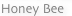 shapeimage_12_link_1