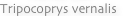 shapeimage_12_link_2