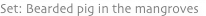 shapeimage_9_link_1