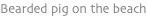 shapeimage_9_link_2
