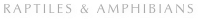 RAPTILES & AMPHIBIANS