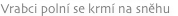 shapeimage_10_link_2
