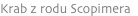 shapeimage_12_link_3