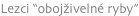 shapeimage_12_link_4
