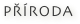 PŘÍRODA