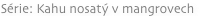 shapeimage_9_link_0