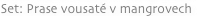 shapeimage_9_link_1